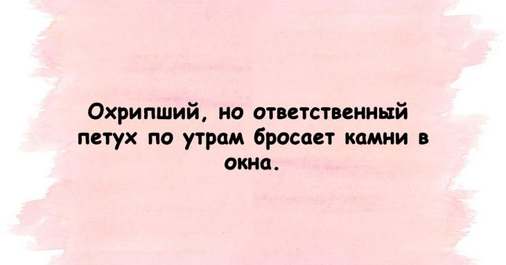 Поднимем настроение каждому: юмористические подборки 
