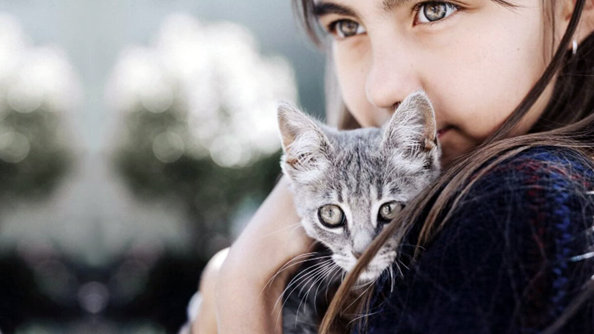 Международный конфликт