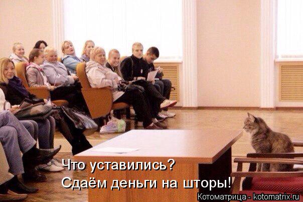 Котоматрица: Что уставились? Сдаём деньги на шторы!