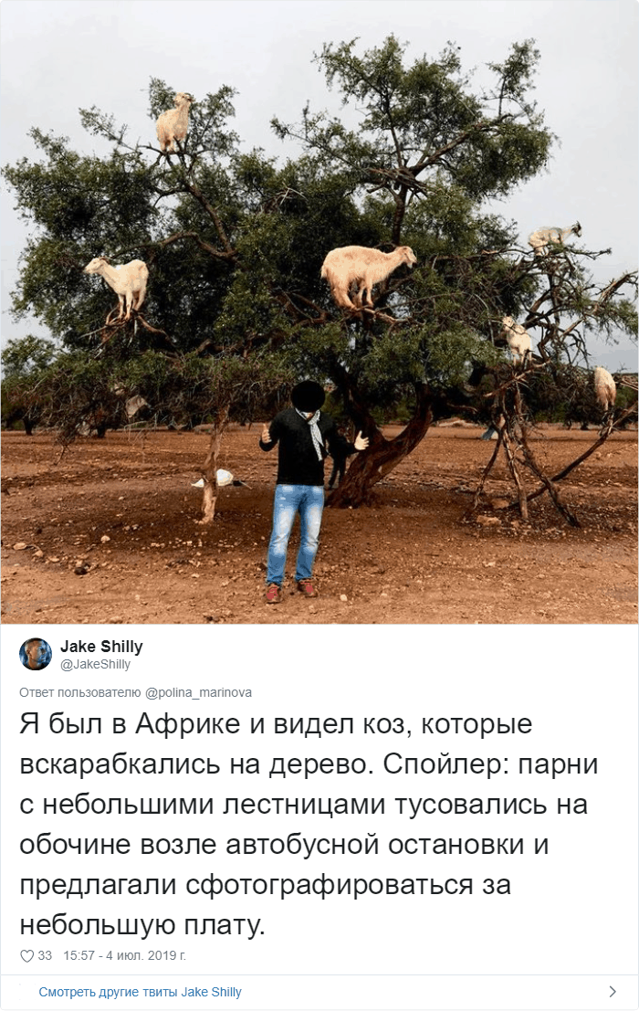 «Приманка для туристов»: волшебное озеро на Бали оказалось обманом «Приманка для туристов»: волшебное озеро на Бали оказалось обманом заграница,страны,туризм