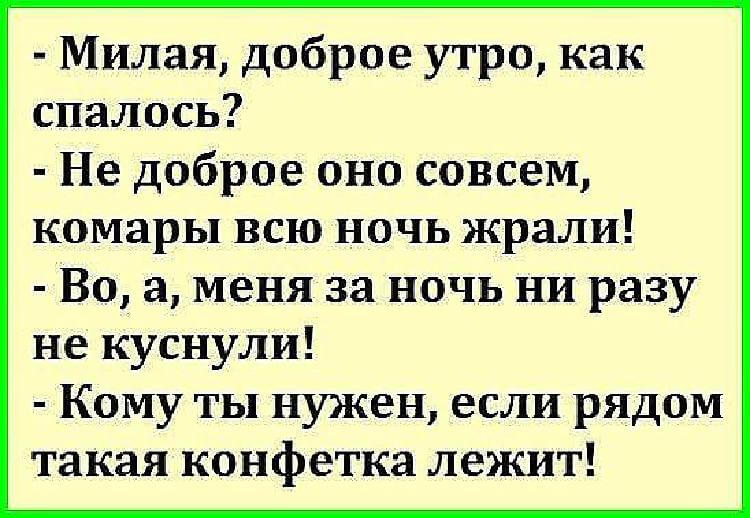 Милые шутки. Милые анекдоты. Анекдот про доброе утро. Анекдоты добрые и смешные. Анекдот про доброе утро смешной.