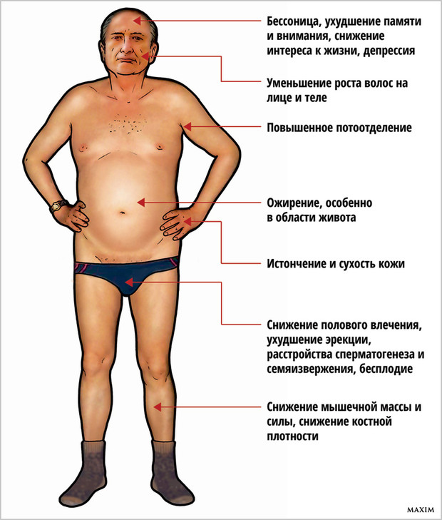 Как наполнить себя тестостероном до краев, или Бес в ребро внутримышечно