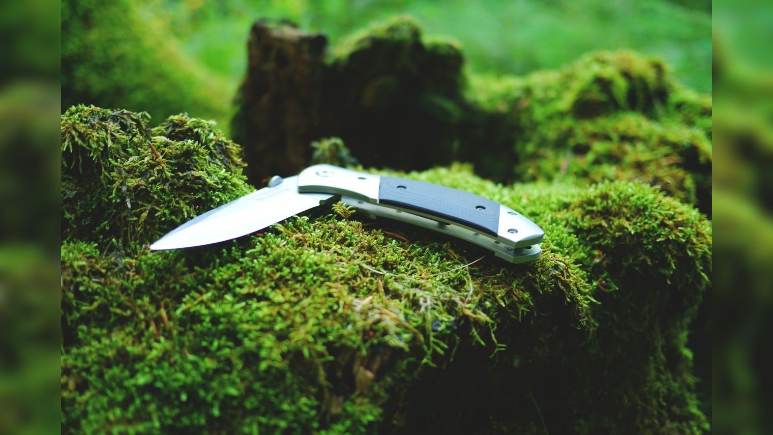 В Крыму украинский беженец с ножом жестко избил двух мальчиков из-за тайника с деньгами