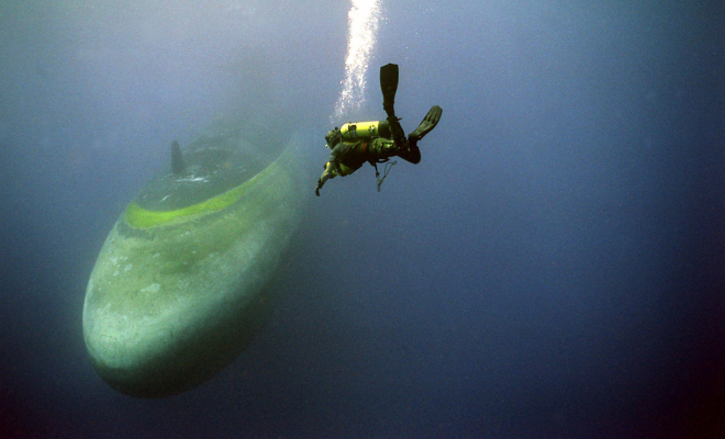 Что будет, если дайвер под водой услышит сонар атомной субманиры - актуальные новости по теме Сша на Toplenta