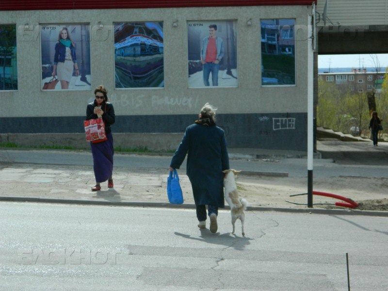 Фото пионер переводит бабушку через дорогу