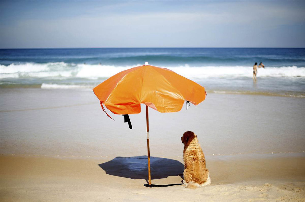 На пляже под зонтом
