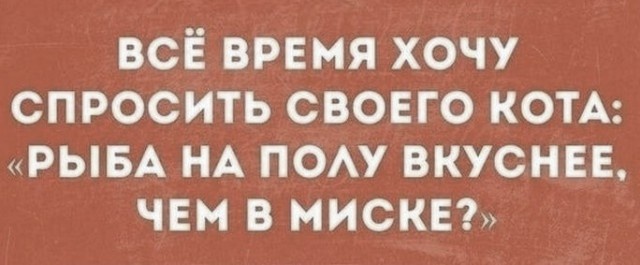 Марья по ночам была такой искусницей, что царевичи в её доме не переводились! анекдоты