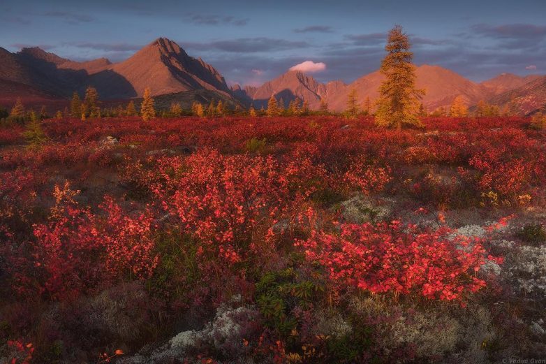 Планета Земля в объективе Вадима Гвона Планета Земля в объективе Вадима Гвона путешествие,турист,Фотография,фототревел