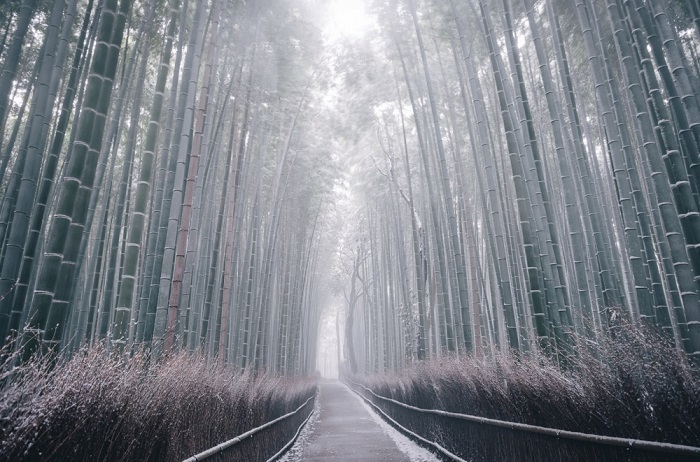 Киото, Япония. Фотограф Takashi Yasui.