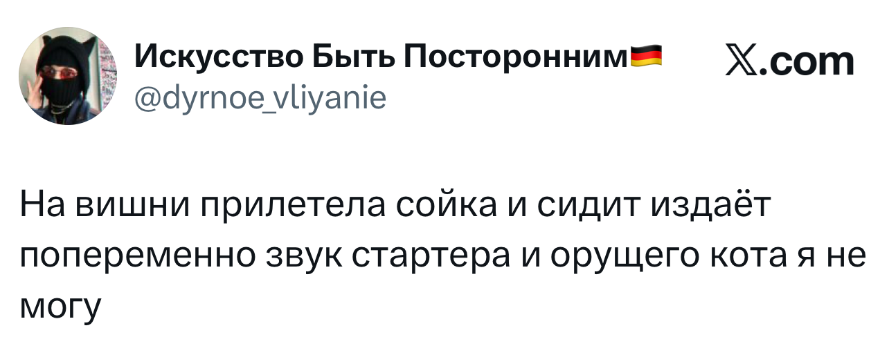 Лучшие шутки дня из X (бывшего Твиттера)