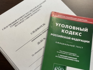 Председателем СК России затребован доклад о ходе проверки по факту противоправных действий в Санкт-Петербурге