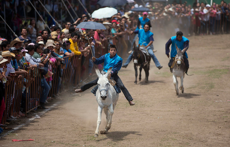 1 мая в городе Отумба, штат Мехико (Мексика) прошел 51-й ежегодный фестивал...