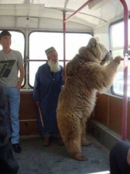 Ничем не примечательный пассажир. | Фото: ru.net.
