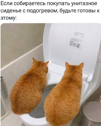 Совет диетолога: Никогда не ешь на голодный желудок меняться, Запада, гондола, Российские, пытаются, доказать, элиты, населению, ничем, совершенно, больше, капитального, форточки, открываем, школе, средней, нашей, снегом, ремонта, Наблюдал