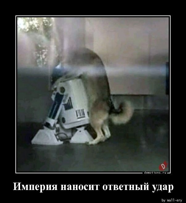 Демотиваторы дня: «Хорошо выспалась…»  