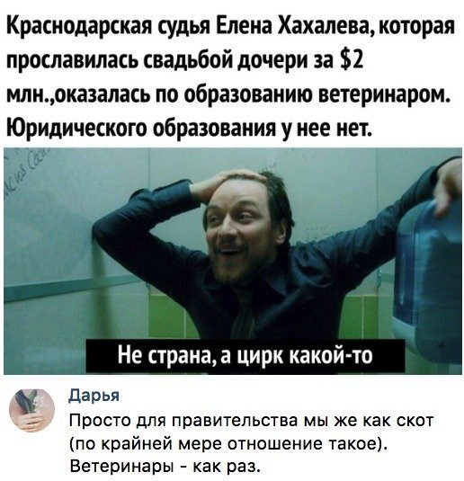 100% приколы, от которых будет болеть живот картинки