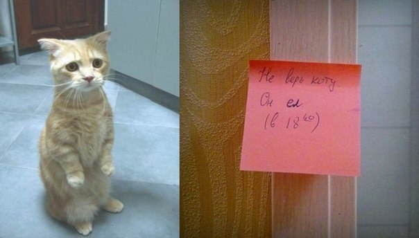 На приеме у психиатра пациент жалуется анекдоты