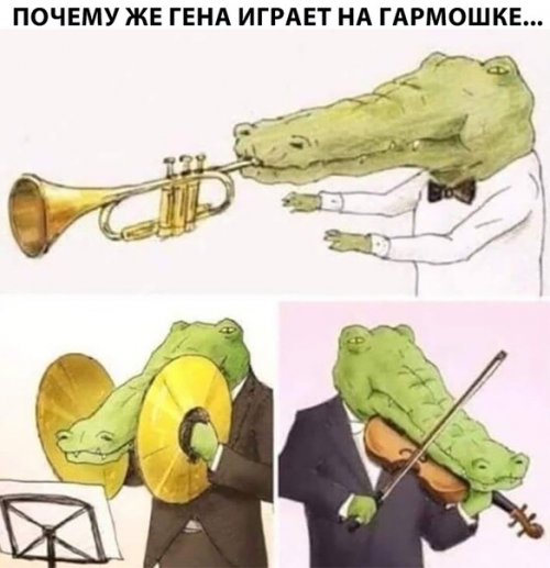 Смешные фотомемы для настроения позитив