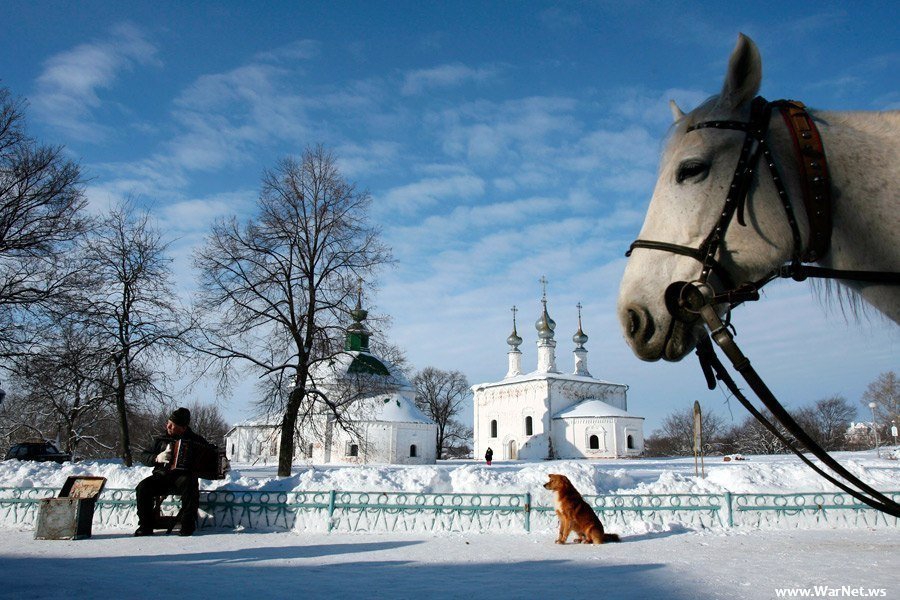 И снова Россия ватник, патриотизм в России, россия, фото