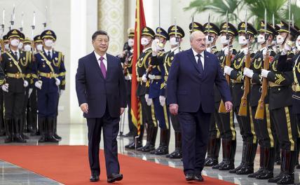 На фото: председатель КНР Си Цзиньпин (слева) и президент Белоруссии Александр Лукашенко (справа)