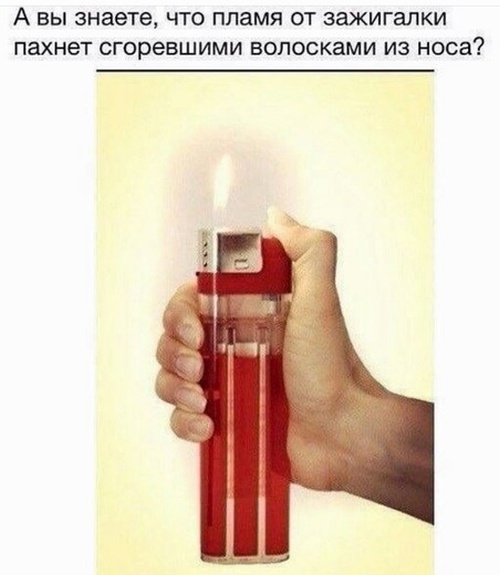 Глупости и различные высказывания из социальных сетей Глупости и различные высказывания из социальных сетей