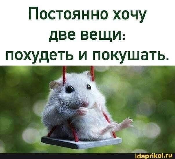 - Скажите, а окулист сегодня принимает? - Ой не спрашивайте, уже две недели не просыхает! давай, чтобы, спрашивает, слова, немного, будет, женщин, которые, придумали, позволь, половина, Какое, долларов, говорит, гласные, катали, поприкалываемся, просто, только, звуки