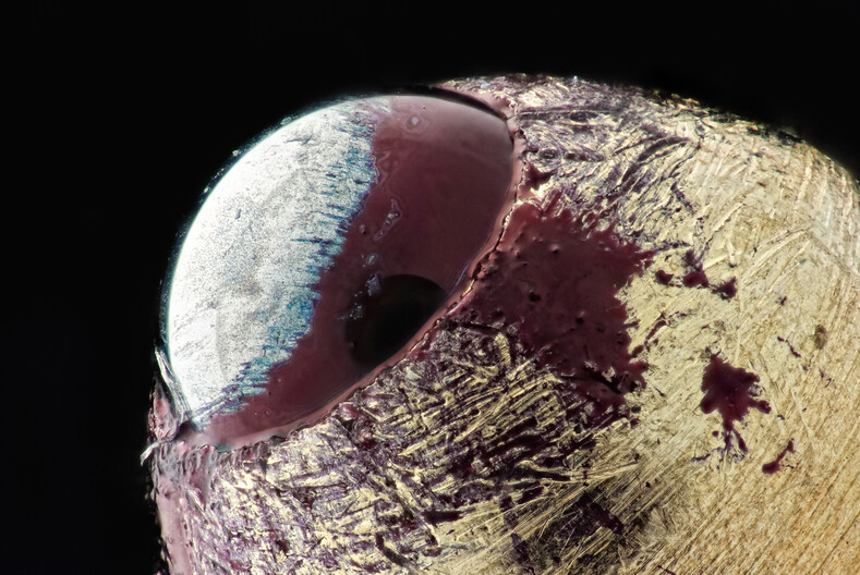 10 фантастических фото привычных вещей в макрообъективе 10 фантастических фото привычных вещей в макрообъективе супер