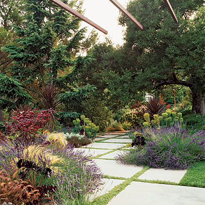 wild-garden-inspiration-herbs3.jpg wild-garden-inspiration-herbs3.jpg