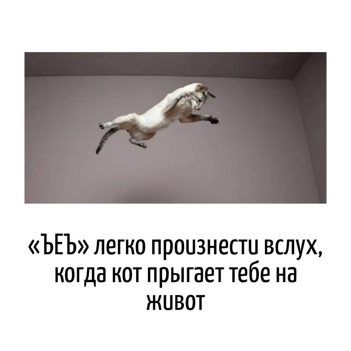 Игра слов — юмор скрытый между строк в каламбурах 