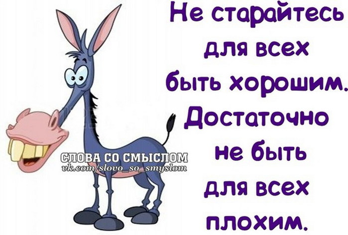 подборка смешных фраз в картинках эти имена