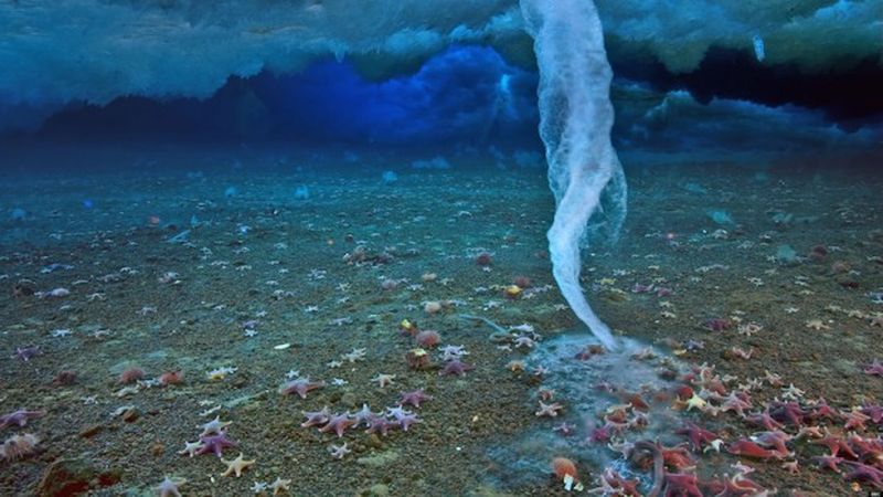 10 необычных природных явлений, которые можно наблюдать в Мировом океане