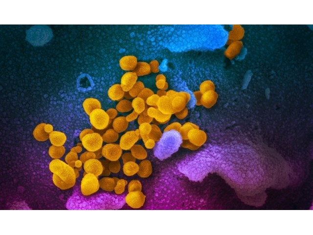 Тень либерально-цифрового фашизма опускается над США Тень либерально-цифрового фашизма опускается над США геополитика