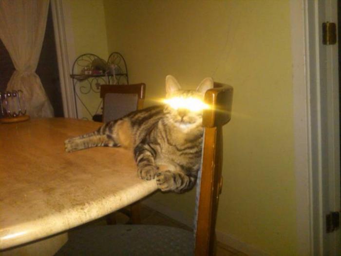 Забавные картинки и смешные фото приколы из сети с надписями Забавные картинки и смешные фото приколы из сети с надписями красивые фотографии,приколы,прикольные картинки,угарные фотки,фото приколы,шикарные фотографии,юмор