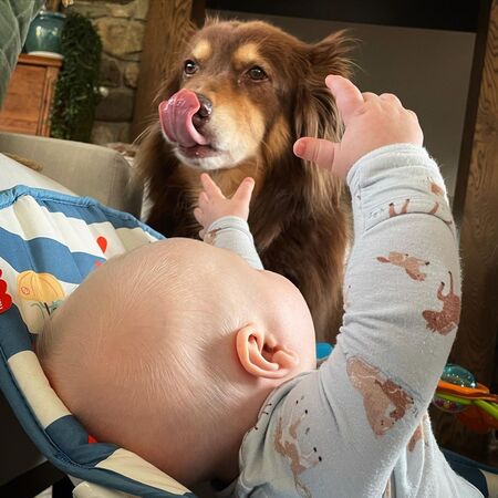 Аманда Сейфрид впервые за долгое время показала сына Аманда Сейфрид впервые за долгое время показала сына Дети,Дети знаменитостей