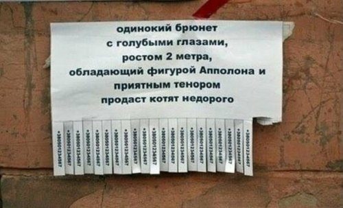 Смешные объявления Смешные объявления