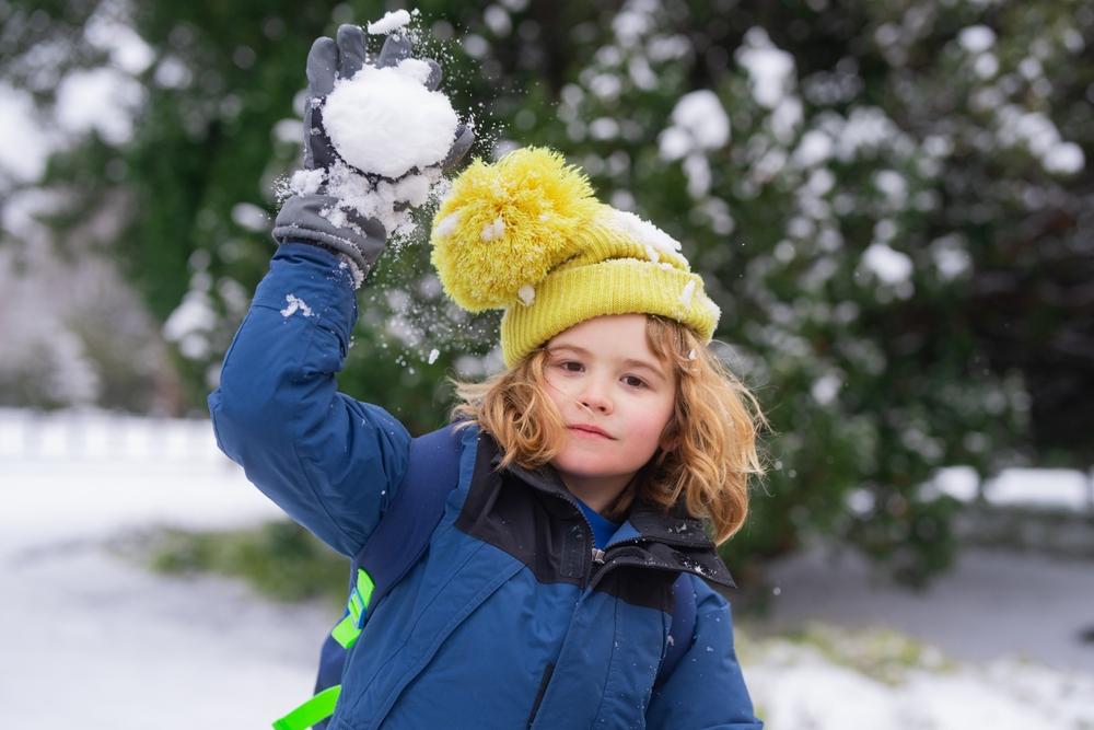 Москвичей приглашают сыграть в снежки на Воробьевых горах «Встреча, друзей», Московского, дворца, пионеров, команд, пройдут, могут, также, ресторане, столичных, площадке, колледжей, Воробьевых, территории, образования, участники, длинуКроме, инсталляцией, метра