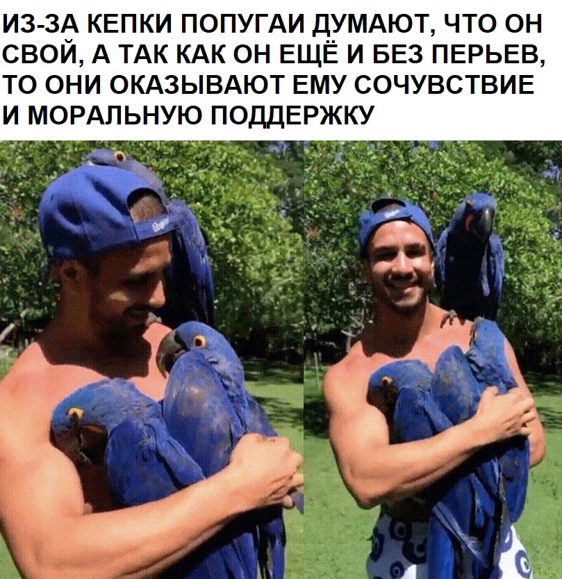 Юмор из интернета 612 Юмор из интернета 612 позитив,смех,улыбки,юмор