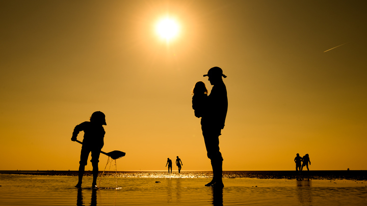 Последние новости России — сегодня 26 июня 2019 россия