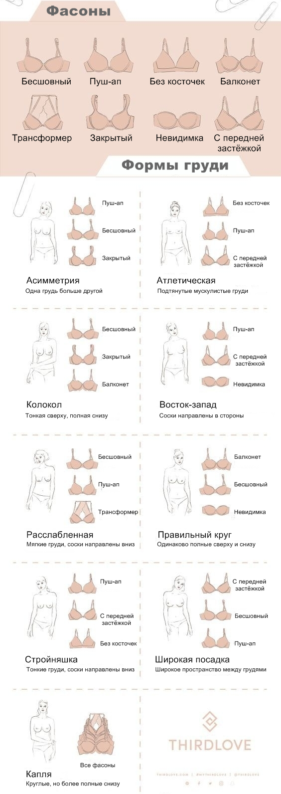 Виды форм груди. Форма груди названия. Разные формы женской груди. Формы грудины женские.