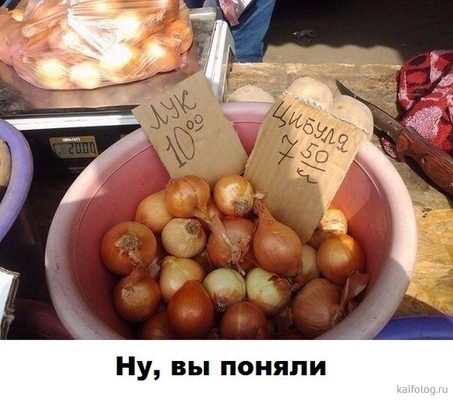 Приколы про лук Приколы про лук