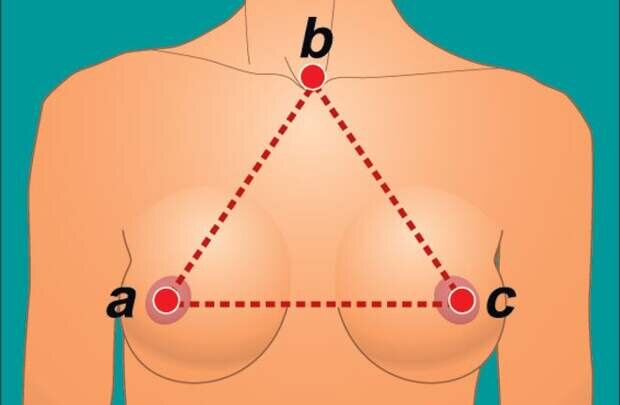 Любопытные факты о женской груди: красота с точки зрения науки медицина,наука