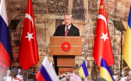 На фото: президент Турции Тайип Эрдоган