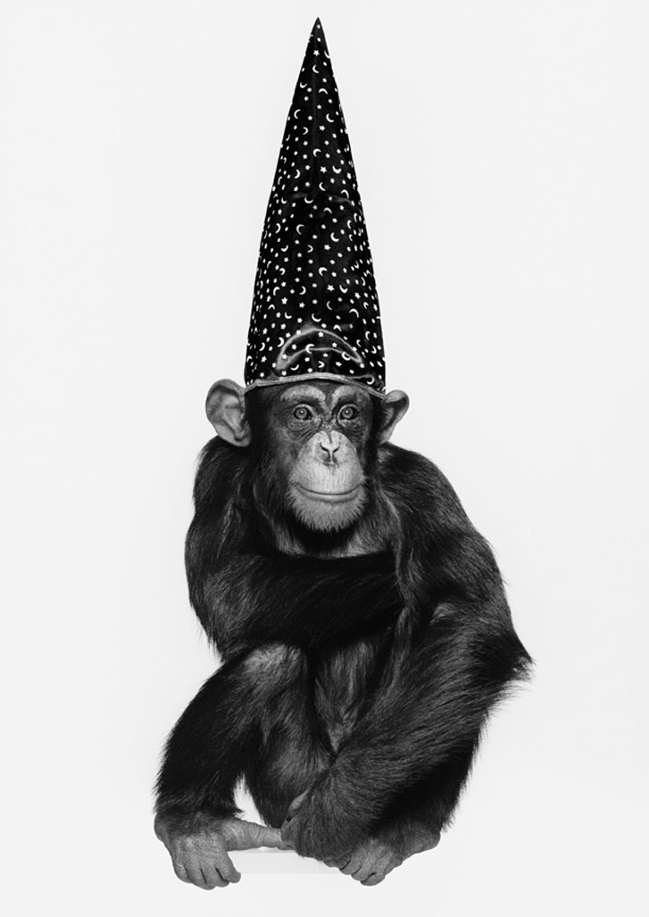 работа фотографа Альберта Уотсона / Monkey with Hat, New York, 1992 - photo by Albert Watson