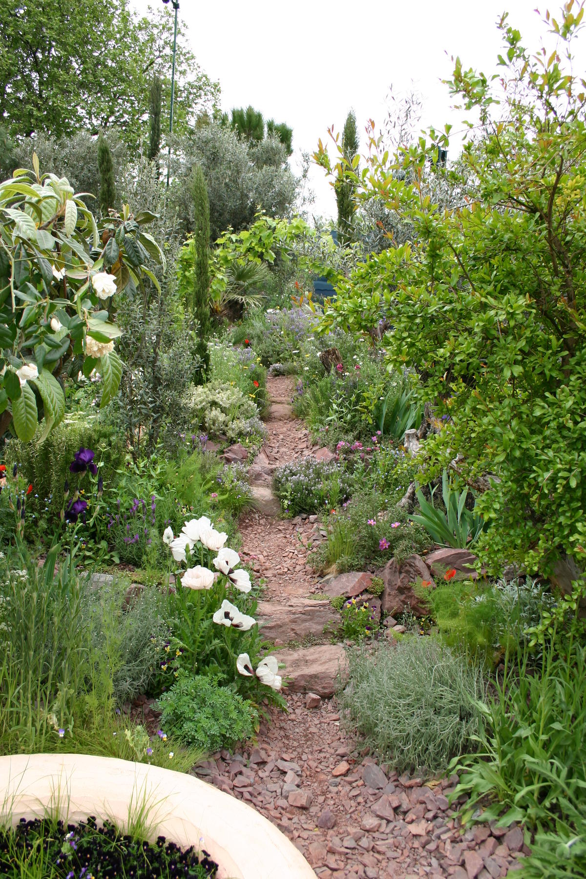 Садовая мода на дикую природу, или Экологические сады в центре внимания ландшафтный дизайн,садоводство