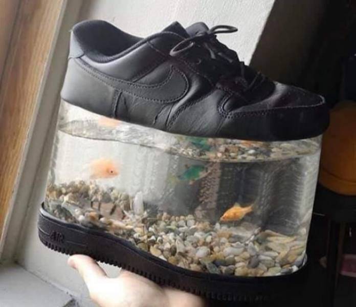 Подборка картинок. Вечерний выпуск  приколы,смешные картинки,юмор