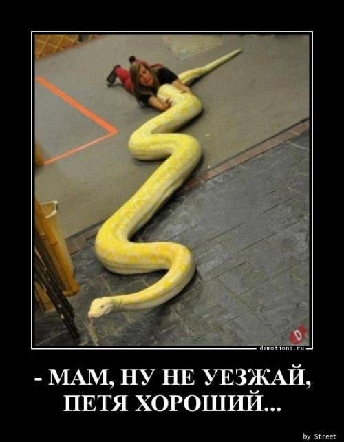 Коллекция прикольных демотиваторов Коллекция прикольных демотиваторов