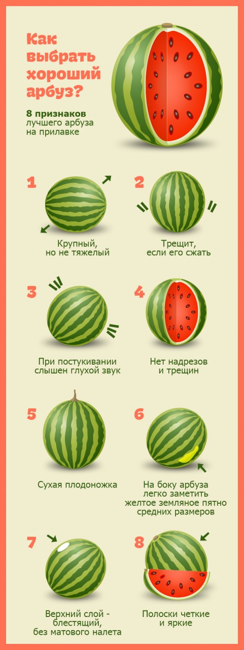 как выбрать вкусный арбуз