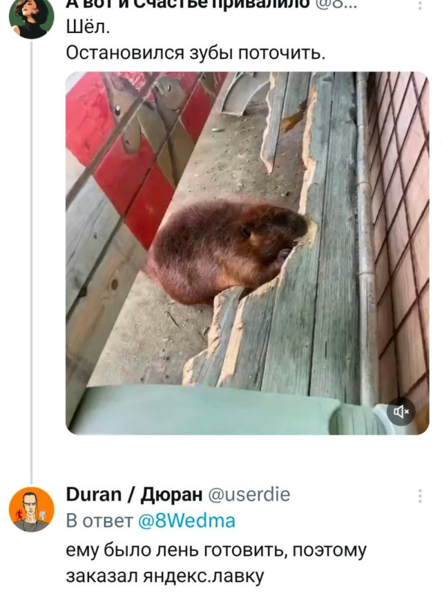 Прикольные твиты: «Оказывается, если прикольно проводить время…» 