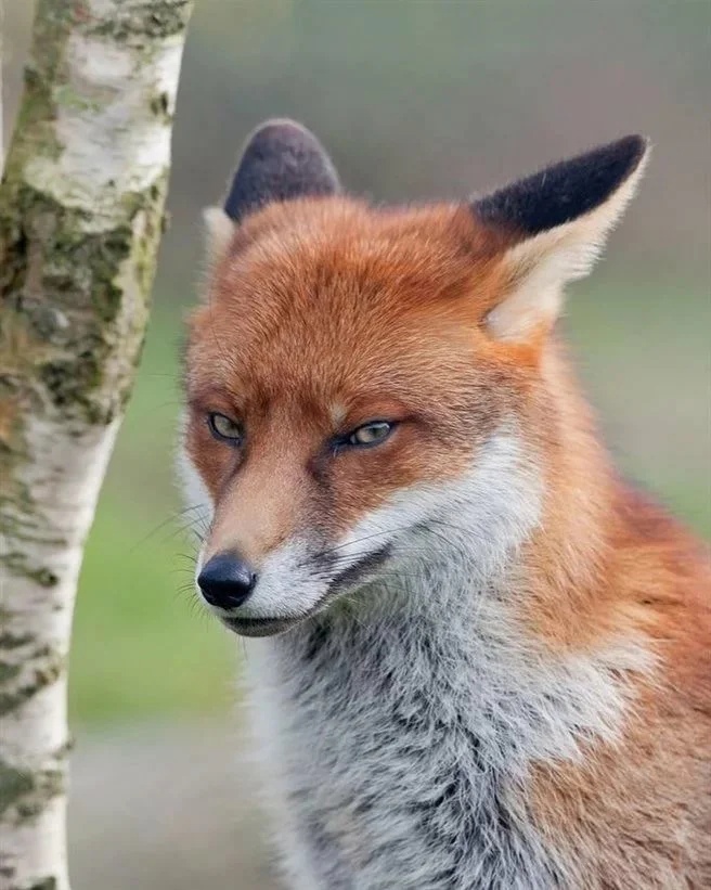 Юмор из интернета 612