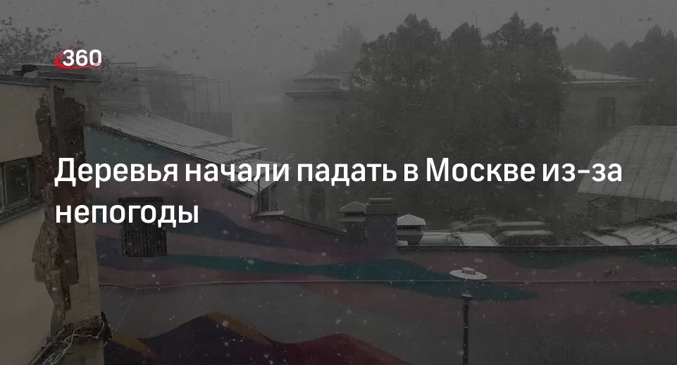 МЧС предупредило об усилении ветра в Москве до 20 метров в секунду